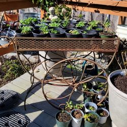 Vintage garden cart rusty flower cart