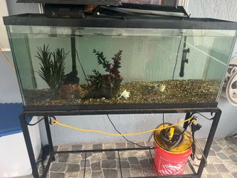 Fish tank 100 gallon