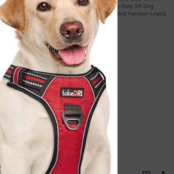 New Ted Dog Harness Large