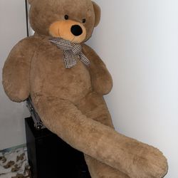 Big Teddy Bear 