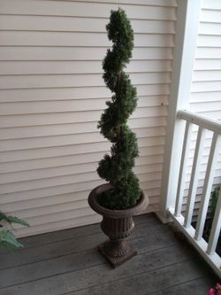 Artificial Spiral Topiary And Urn