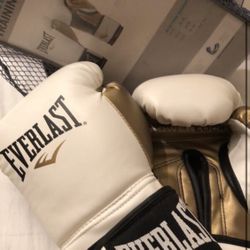 Everlast powerlock training gloves