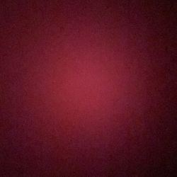 1990 Skybox Cards 1000 Cards