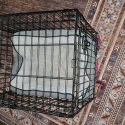 Top Paw Medium Dog Kennel $40