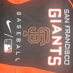 Authentic Collection Pregame Hoodie, Brand New Never Wore