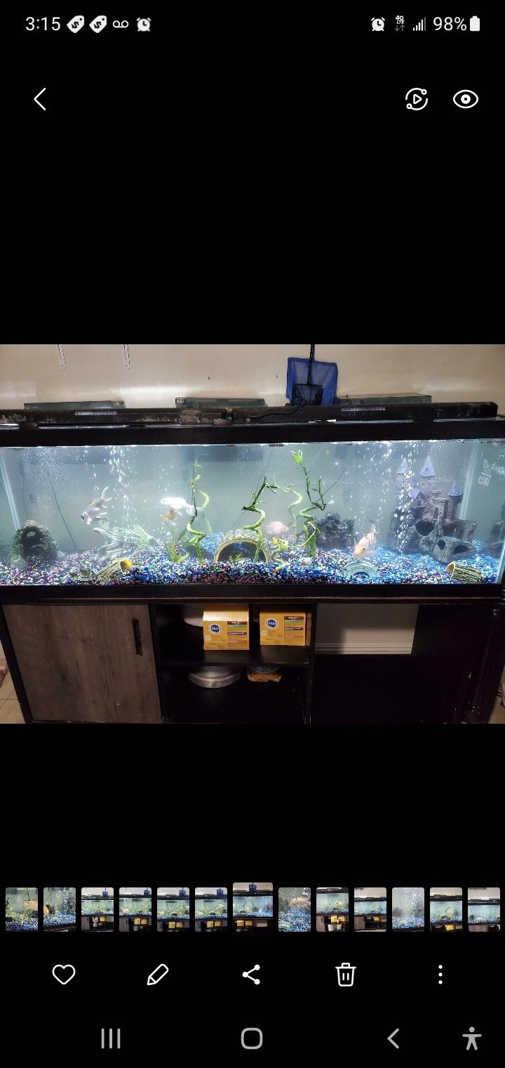 125 Gallon Fish Tank