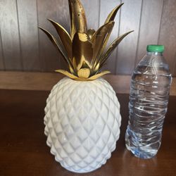 Super Cute Pineapple 