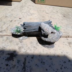 Reptile Log