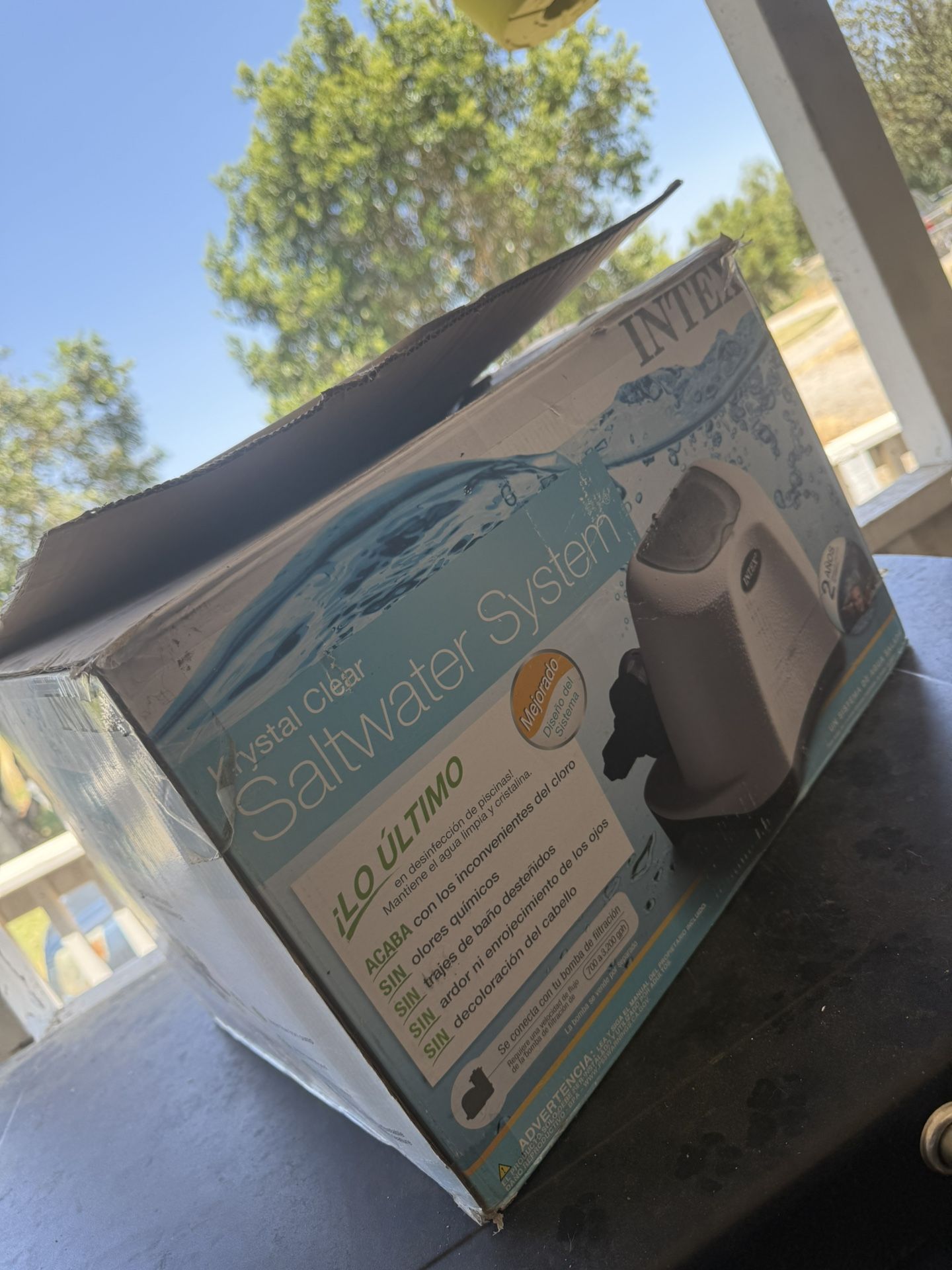 Intex Saltwater System