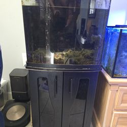 Bio Cube 32 Gal Saltwater Fish Tank