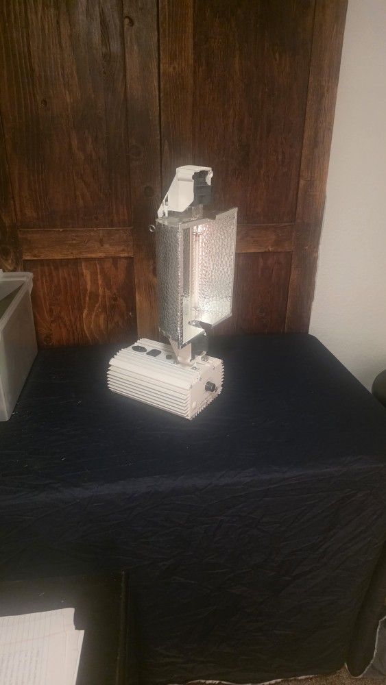 Gavita Pro 1000e DE Grow Light – $150 OBO