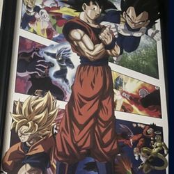 Dragon Ball Frame