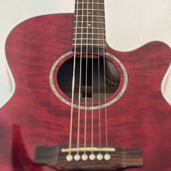 Takamine G series Acoustic Guitar