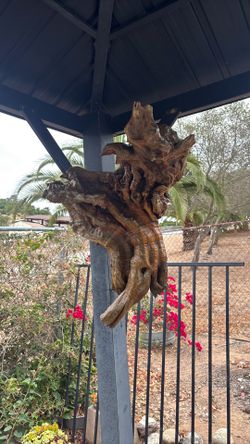 COOL VINTAGE BURL WOOD