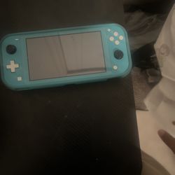 Nintendo Lite 