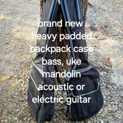 $35 Each, Brand New Padded Gig Bag Cases,