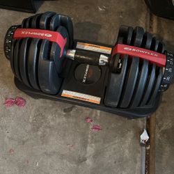 Bowflex Weights
