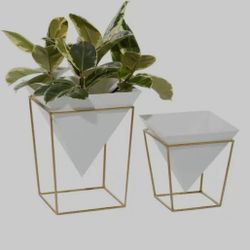 Umbra Trigg Tabletop Vessel Set