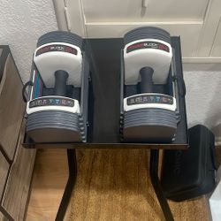 Brand New Set Of Powerblock 24s & Stand For $100