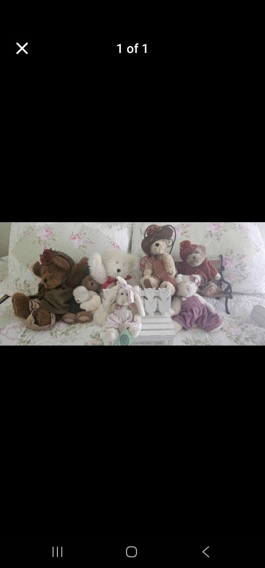 Boys Bears Collection