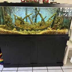 90 Gallon Fresh Water Fish Tank!!!