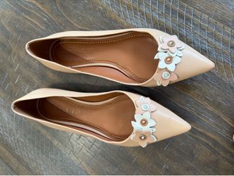 Coach Pointed Toe Flats (size 8 Women’s)