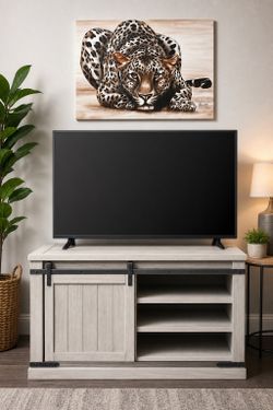 43” TV