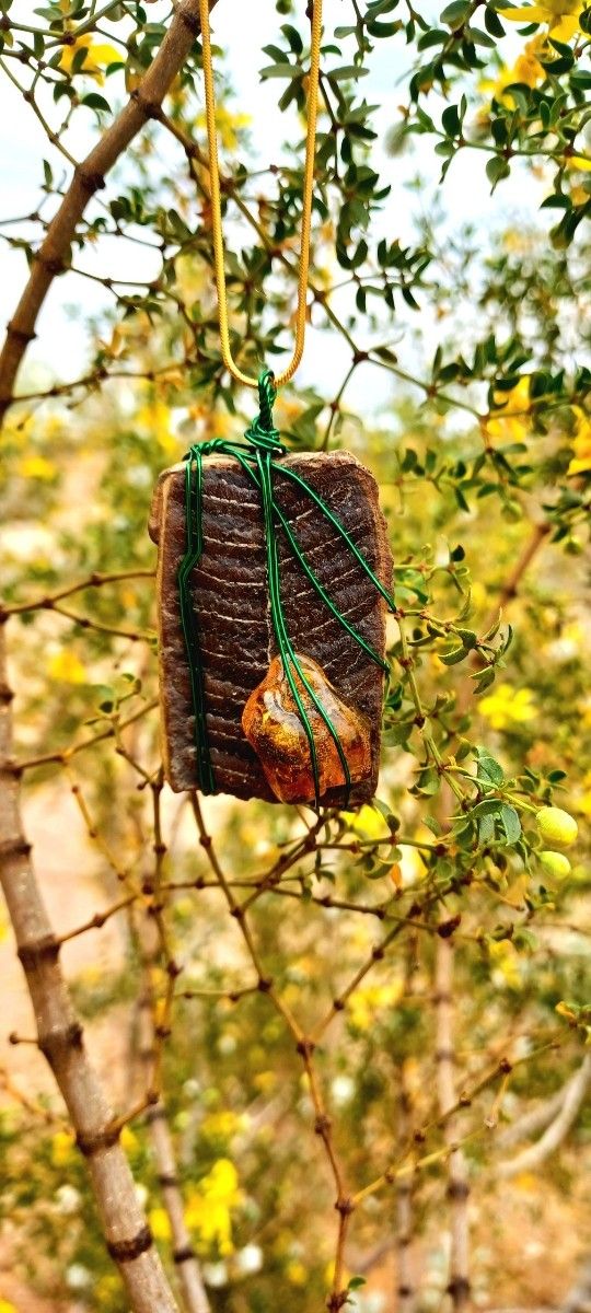 NEW JEWELRY AMBER WITH BEE, DRAGONFLY PINE RESIN, FERN FOSSIL, RED SUNSET ROCK, STROMATOLITE FOSSIL, PETRIIFIED WOOD!
