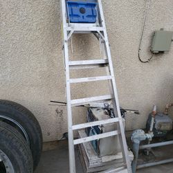 6ft Ladder 
