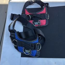 Joyride Harness - Blue And Red - 10.00 Each