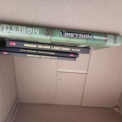 Minecraft books