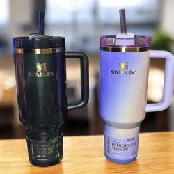 WICKED Stanley 40 oz