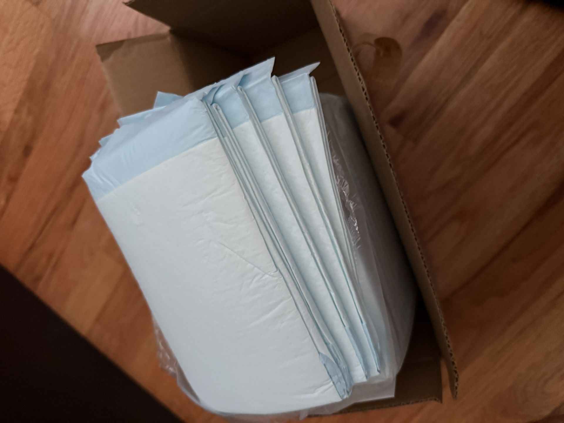XL Pee Pads