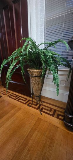 Fern Plant in Woven Basket Iron Stand
