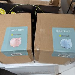 Spearhead Ceramic Piggy Panks