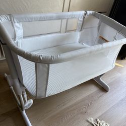 Baby Delight Bassinet