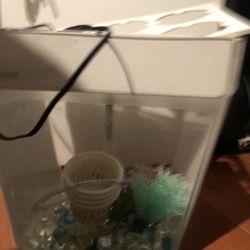 Aquaponics Fish Tank / Plant starter Kit
