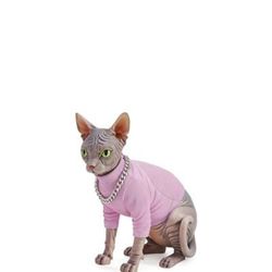 JW PEI Women's Resin Clutch Bag - Pink/Grey