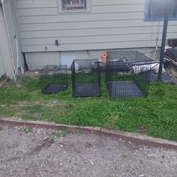 3 Dog Cages Package Deal 40 Dollars