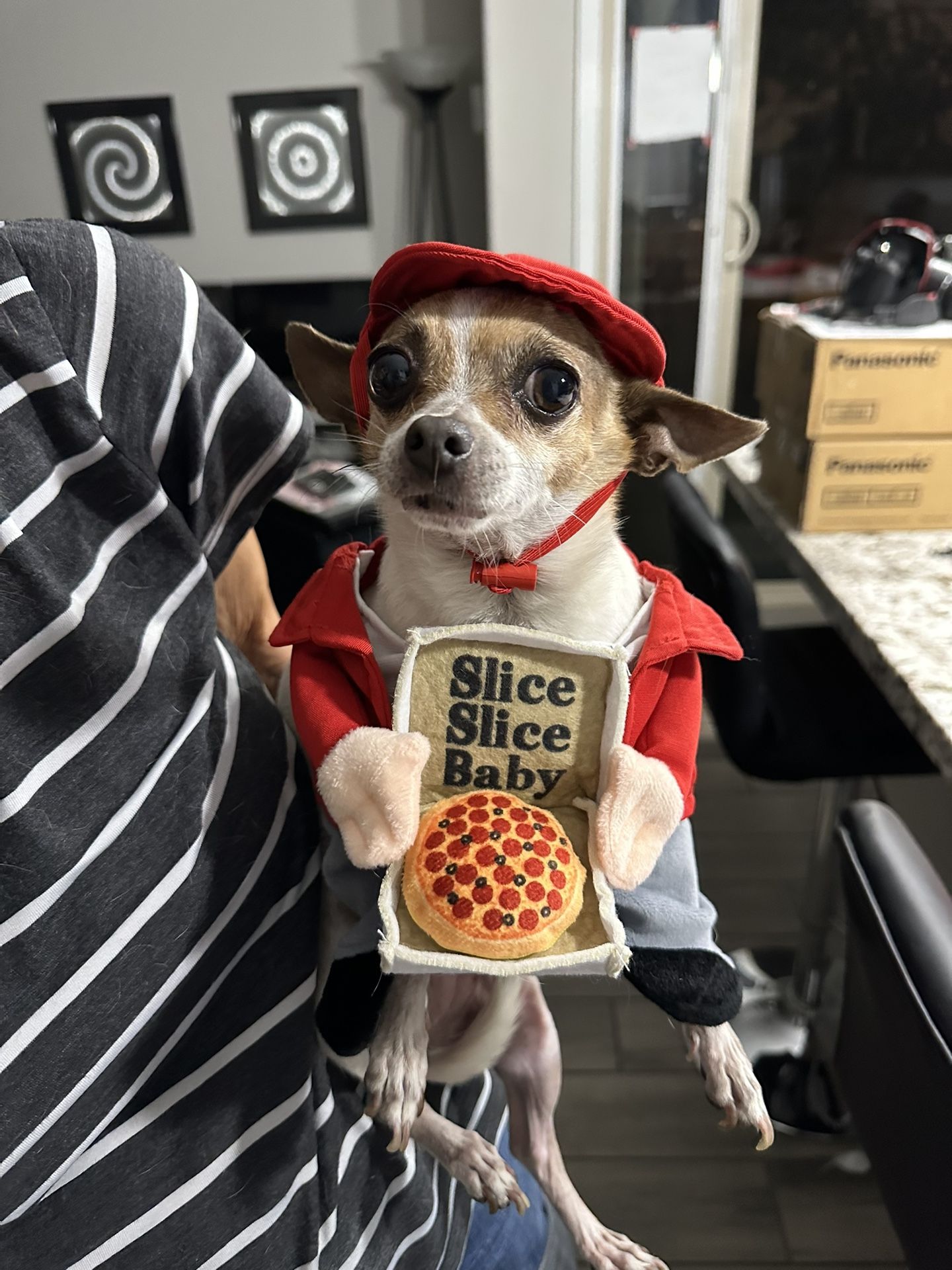 Halloween Dog Costumes Clothes Outfits