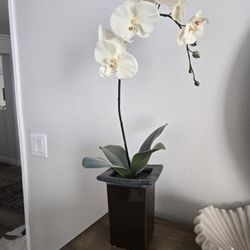 Artificial Orchid Plant