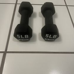 Set Of Two 5 Lb Dumbbells 