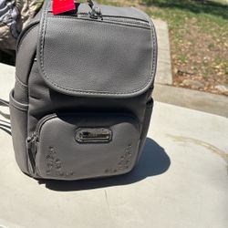 Rosetti Backpack/purse