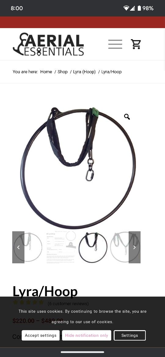 Aerial Essentials Single Point Lyra 36