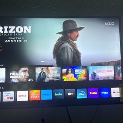 Vizio 55in Tv