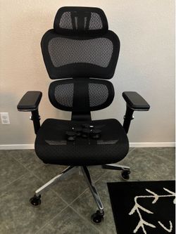 Ergonomic Office Chair