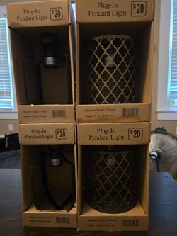 New Plug-In Pendant Light