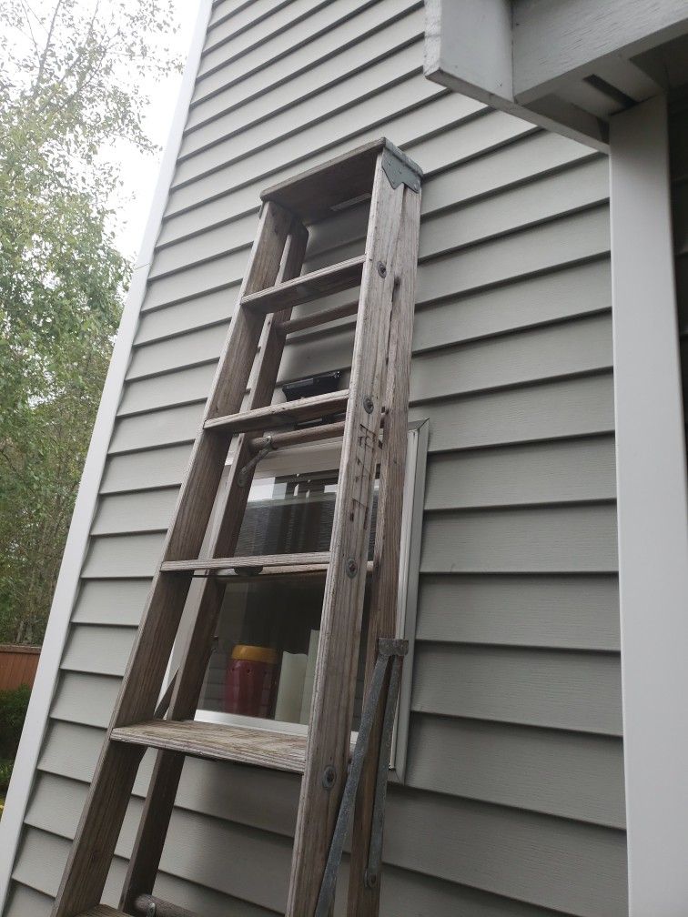 10 Foot Ladder For Sale - $25