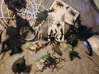 Cat & Bats & Rats O...My