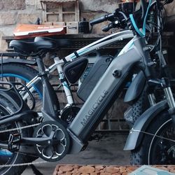 Dominate the Hills: The Magicycle 52V 20Ah Powerhouse ⚡️